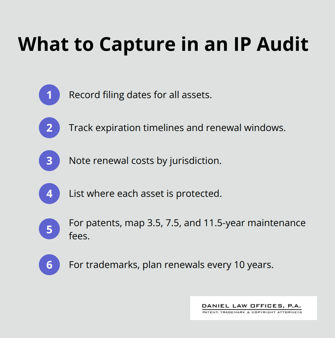 Concise checklist of data to record during an IP audit and key renewal cadences. - IP portfolio management