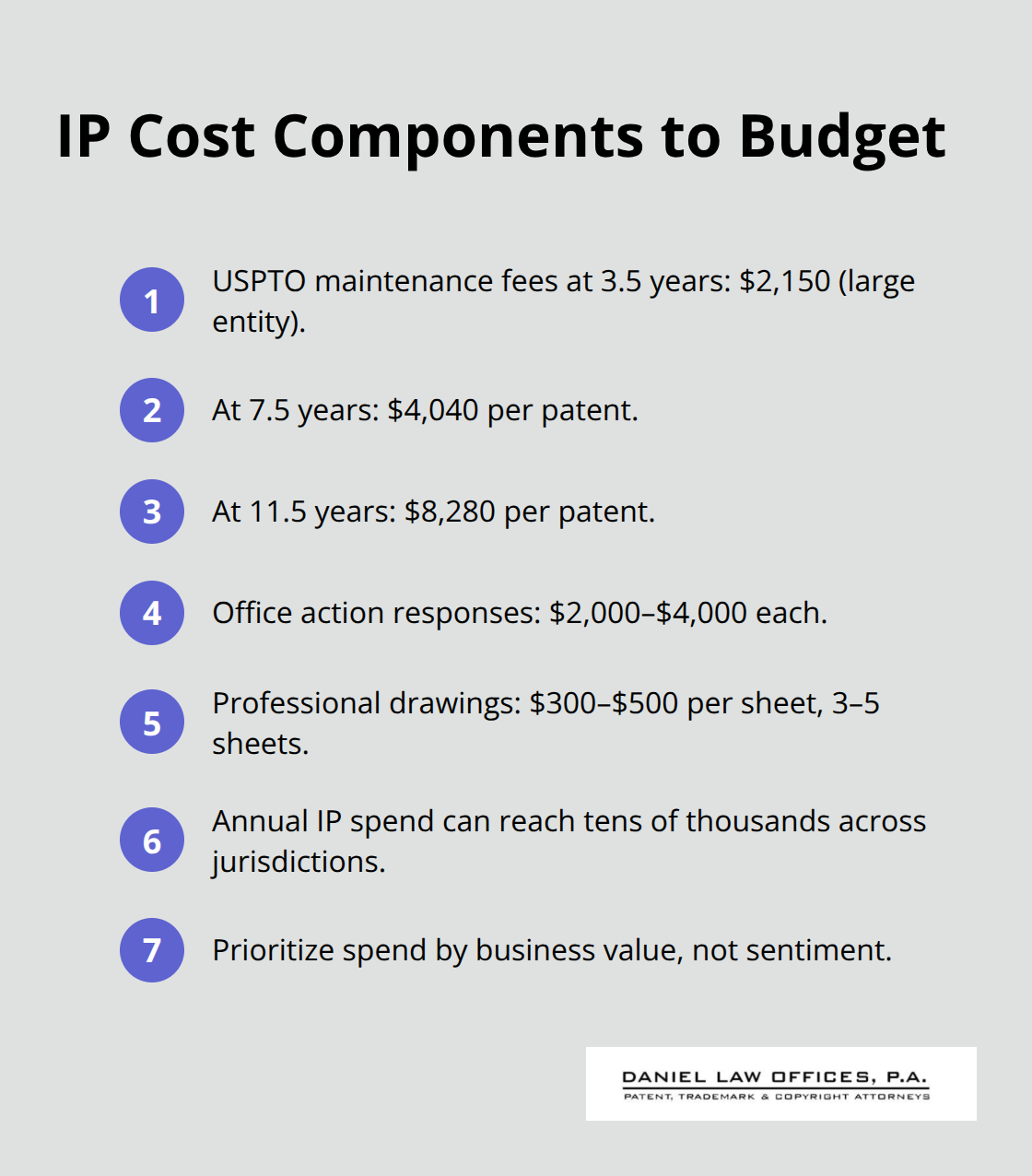Compact list of major IP cost items including maintenance fees, office action responses, drawings, and overall spend.