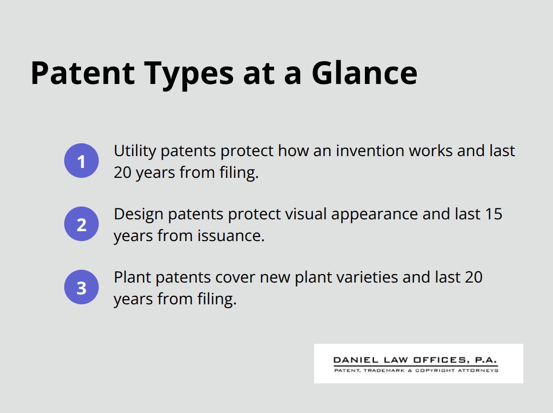Compact list summarizing utility, design, and plant patents with their terms.